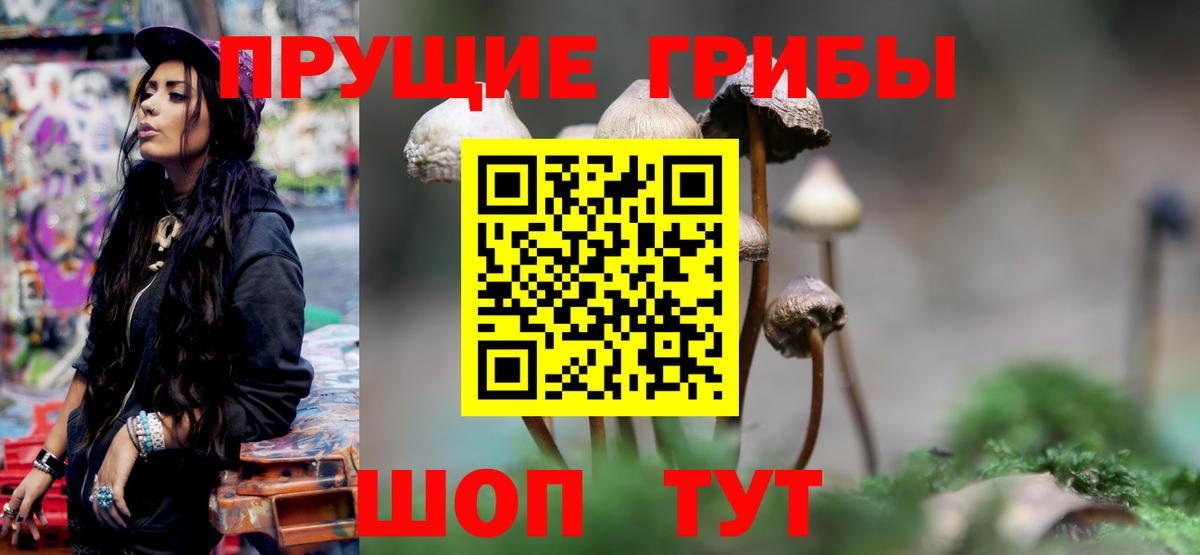 Псилоцибиновые грибы Cubensis  Псилоцибиновые грибы мухоморы  Вход с VPN  Дербент 